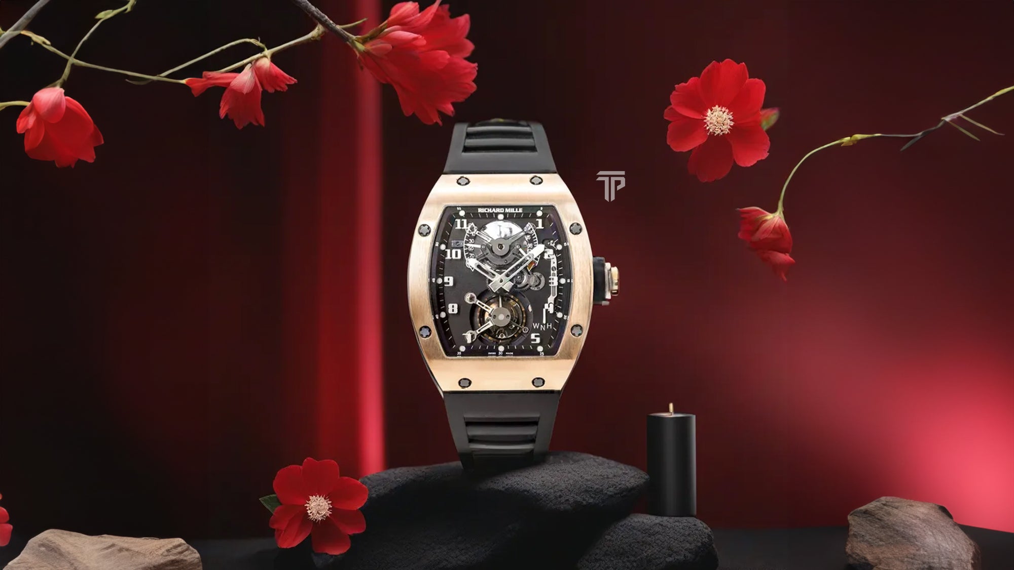 Richard mille top audemars piguet