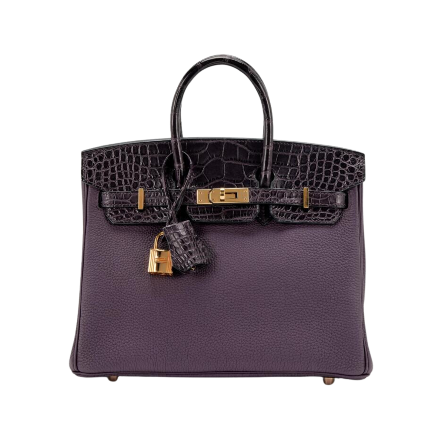Hermes Birkin 25 Touch Prunoir Matte Alligator & Raisin Togo Leather