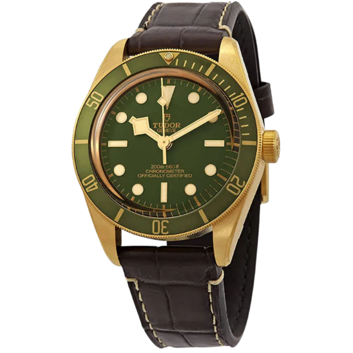 Tudor Ref. M79018V-0001 Black Bay 41 Yellow Gold Green Dial with Green Strap