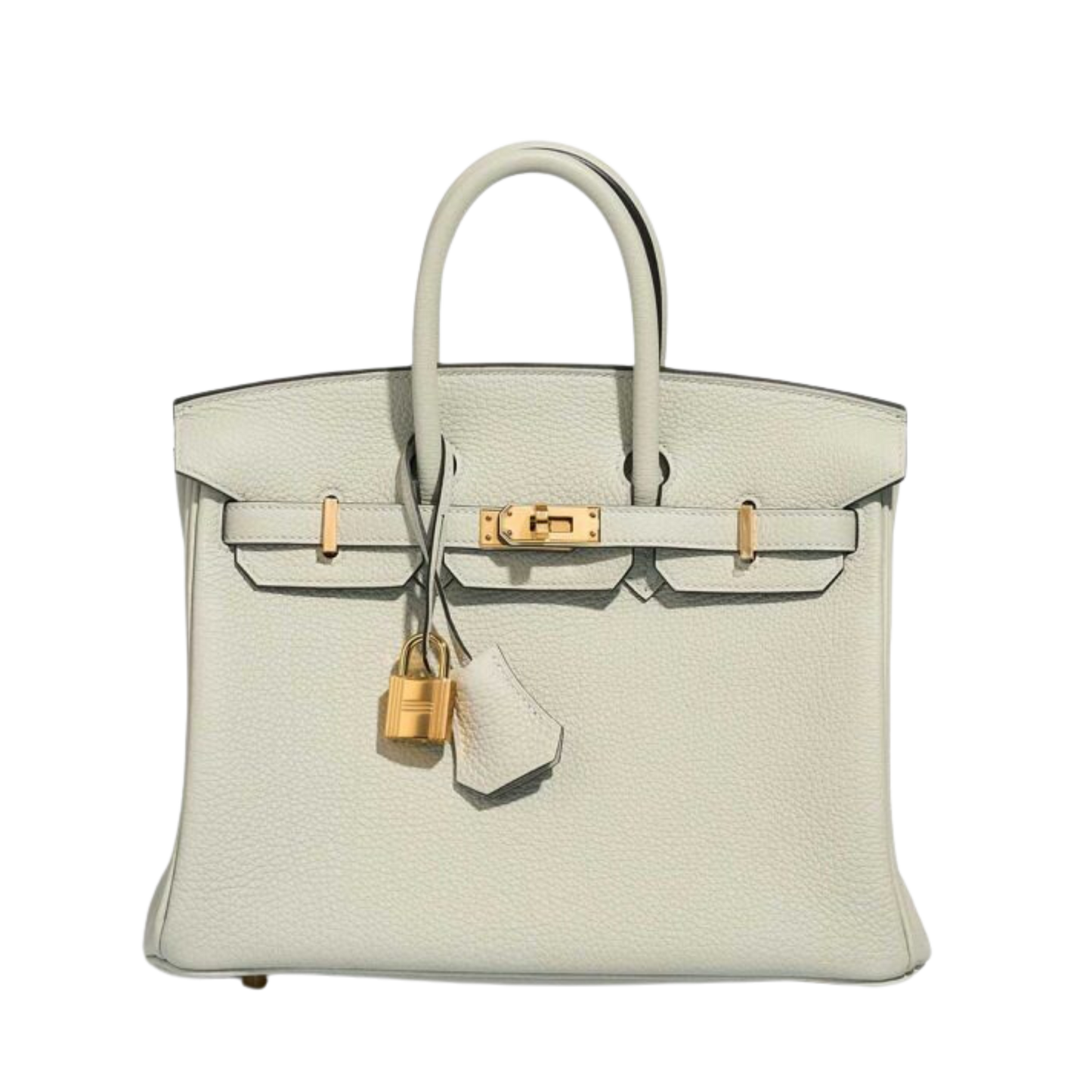 Hermes Birkin 25 Gris Neve Togo Leather