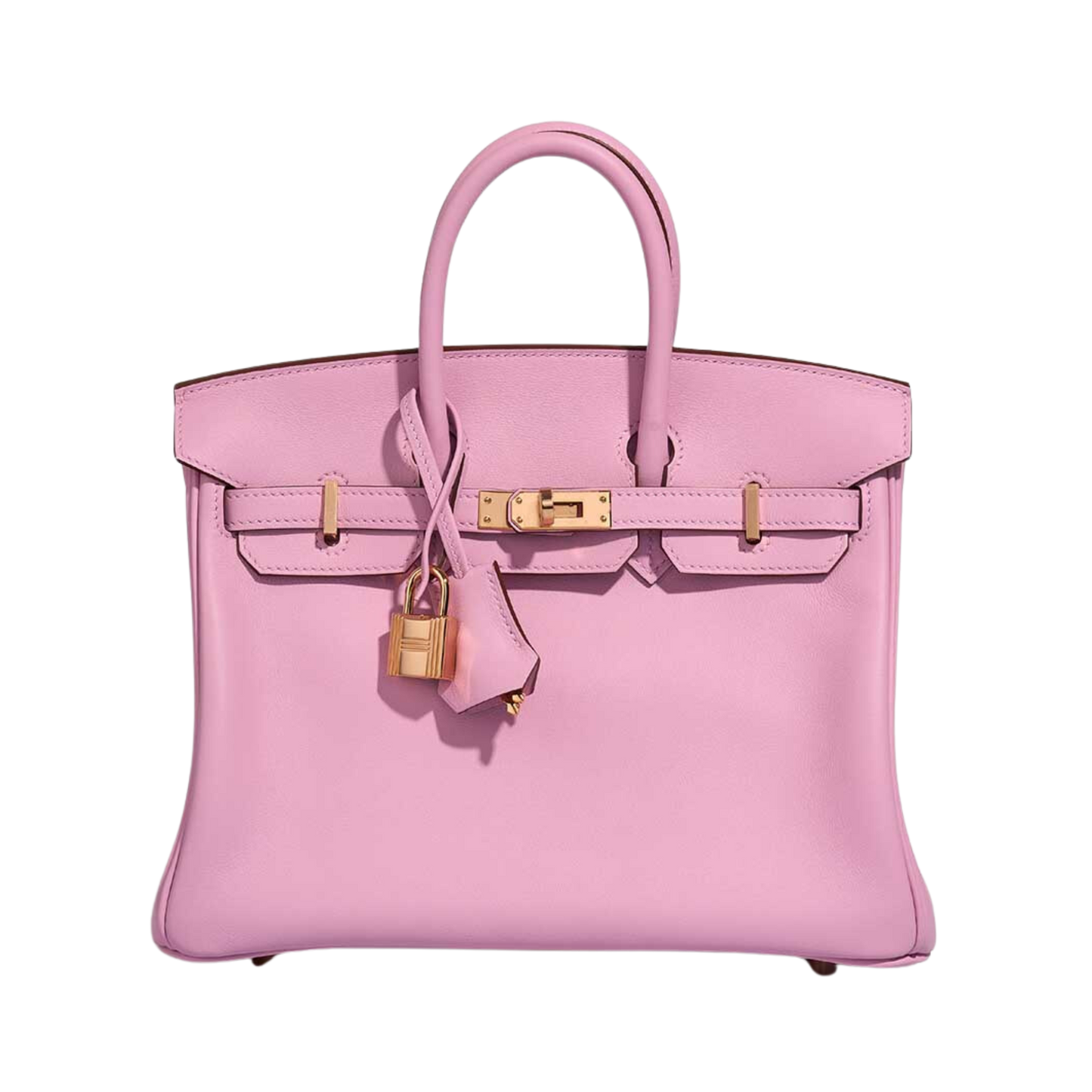 Hermes Birkin 25 Mauve Sylvestre Swift Leather