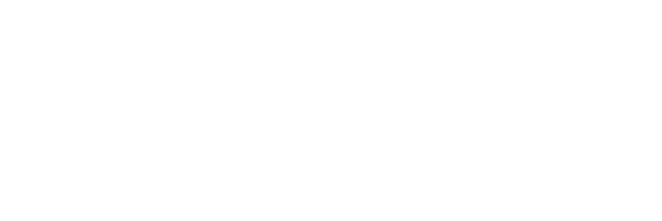 Tronto Star