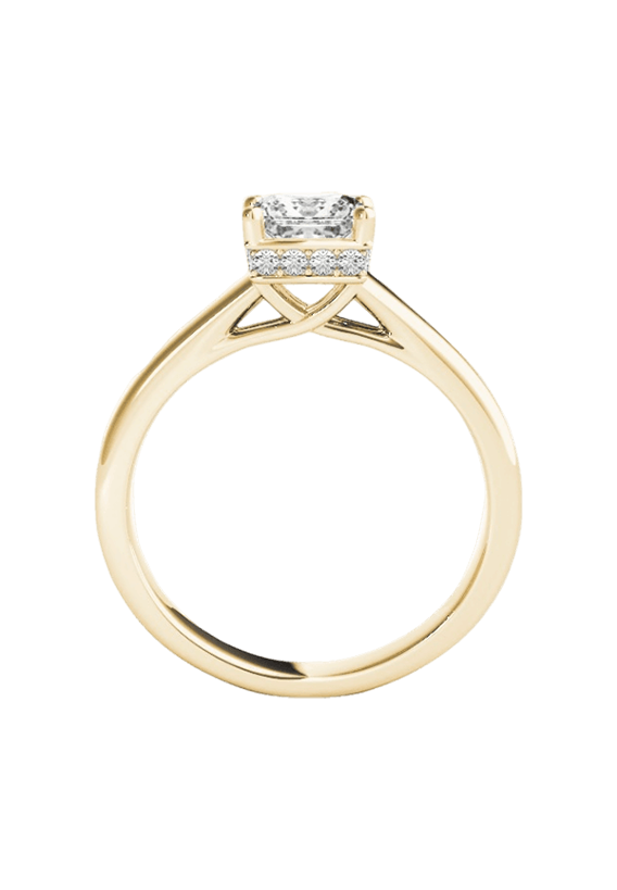 ENGAGEMENT RINGS TRELLIS