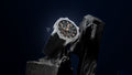 Richard Mille RM 33-03 Automatic luxury skeleton watch in titanium and Carbon TPT with 18k gold accents