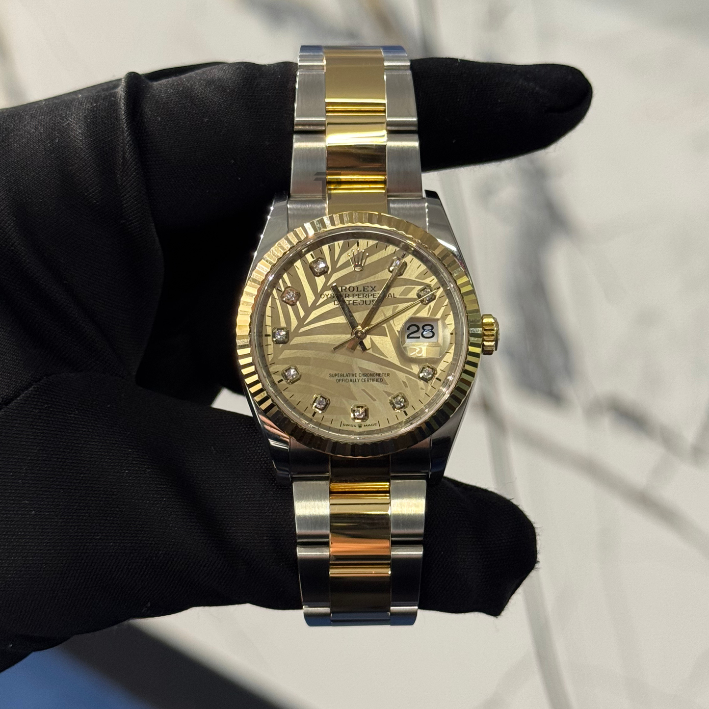 Rolex Datejust Ref. 126233 36mm Two Tone SS/YG on oyster Palm Motif