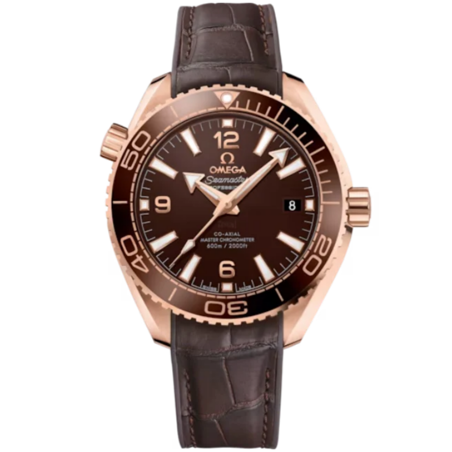 SEAMASTER PLANET OCEAN 600M 39 MM SEDNA™ GOLD WITH BROWN DIAL