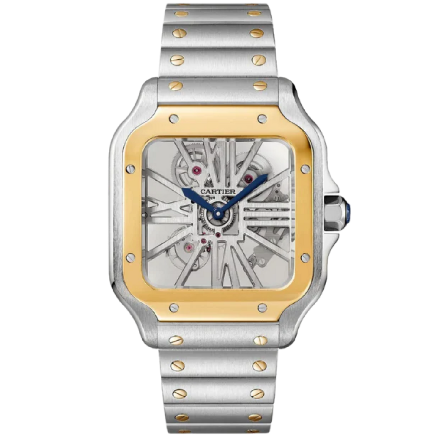 WHSA0019 Two Tone Santos Skeleton Large Model