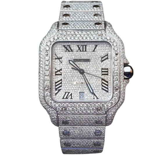 WSSA0018 Steel Santos Bussdown (Dial Too) Roman Numerals
