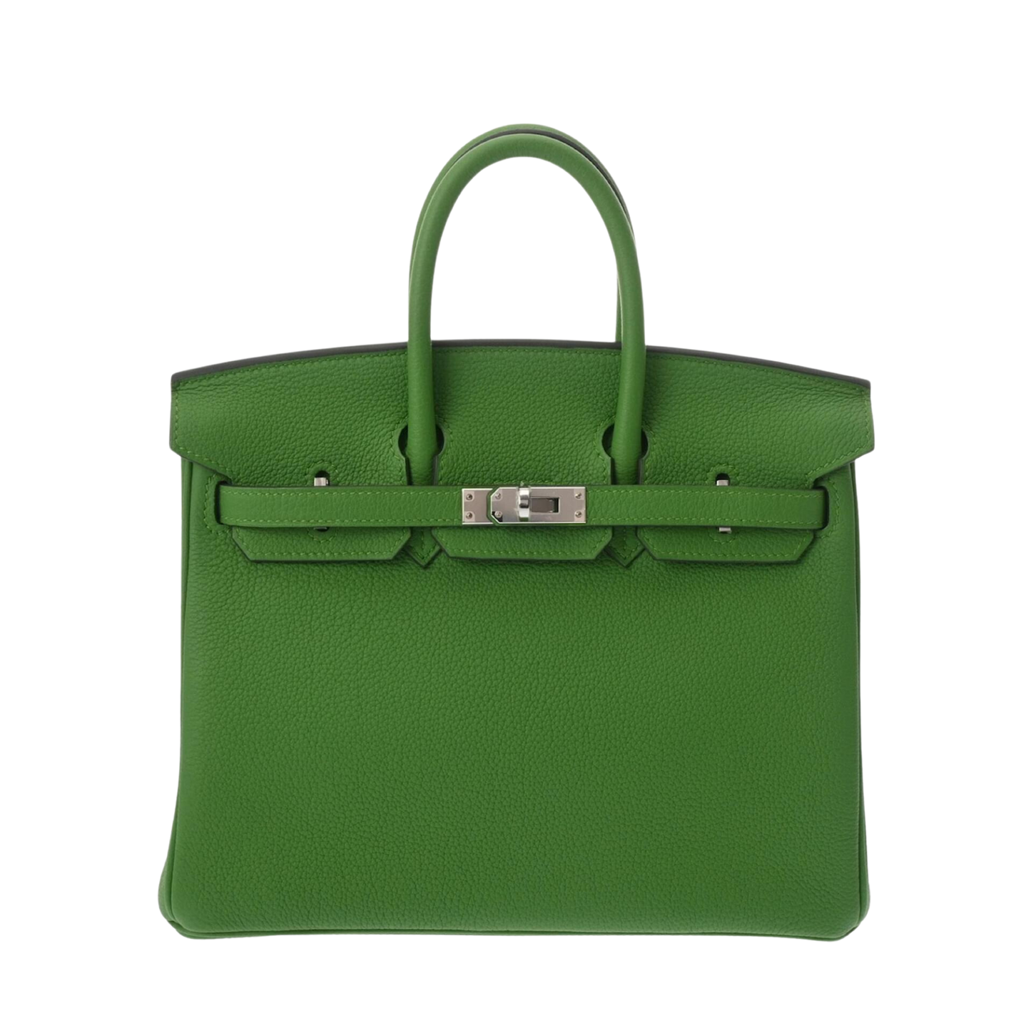 Hermes Birkin 25 Vert Yucca Togo Leather
