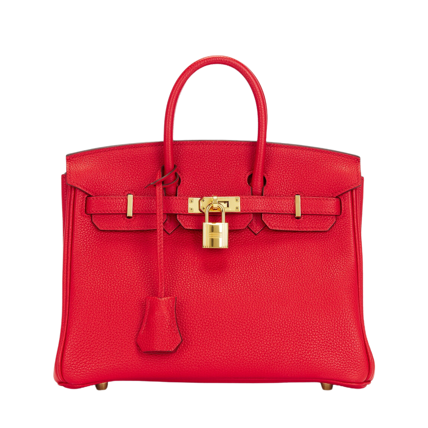 Hermes Birkin 25 Rouge Coeur Togo Leather