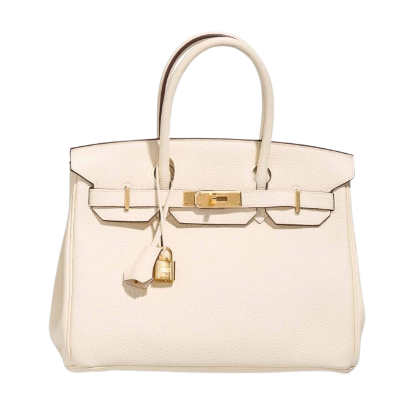 Hermes Birkin 30 Nata Togo Leather