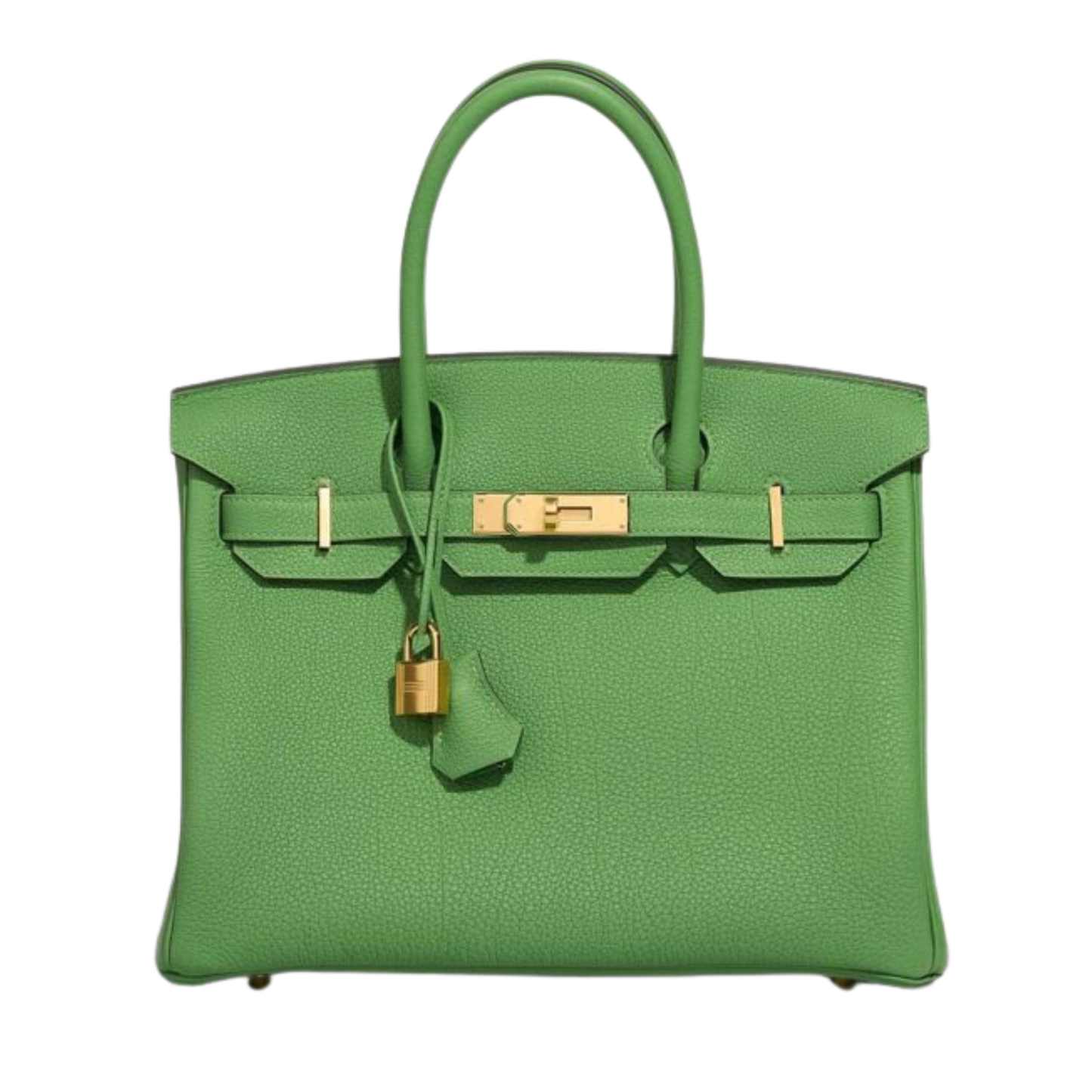 Hermes Birkin 30 Vert Yucca Togo Leather