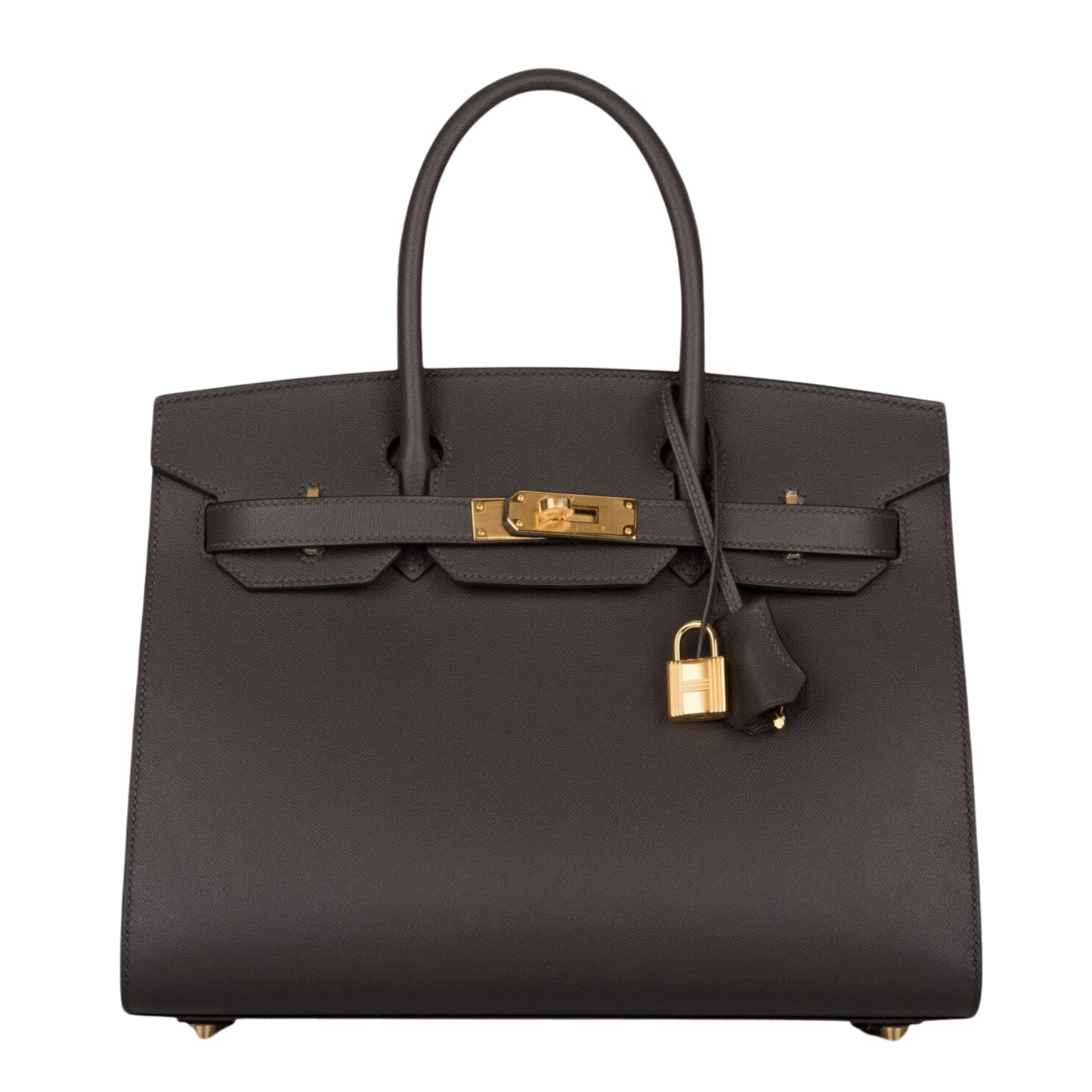Hermes Birkin 30 Sellier Graphite Veau Madame Leather