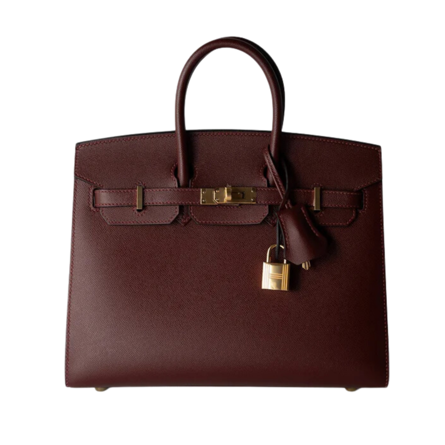 Hermes Birkin 25 Sellier Rouge H Madame Leather