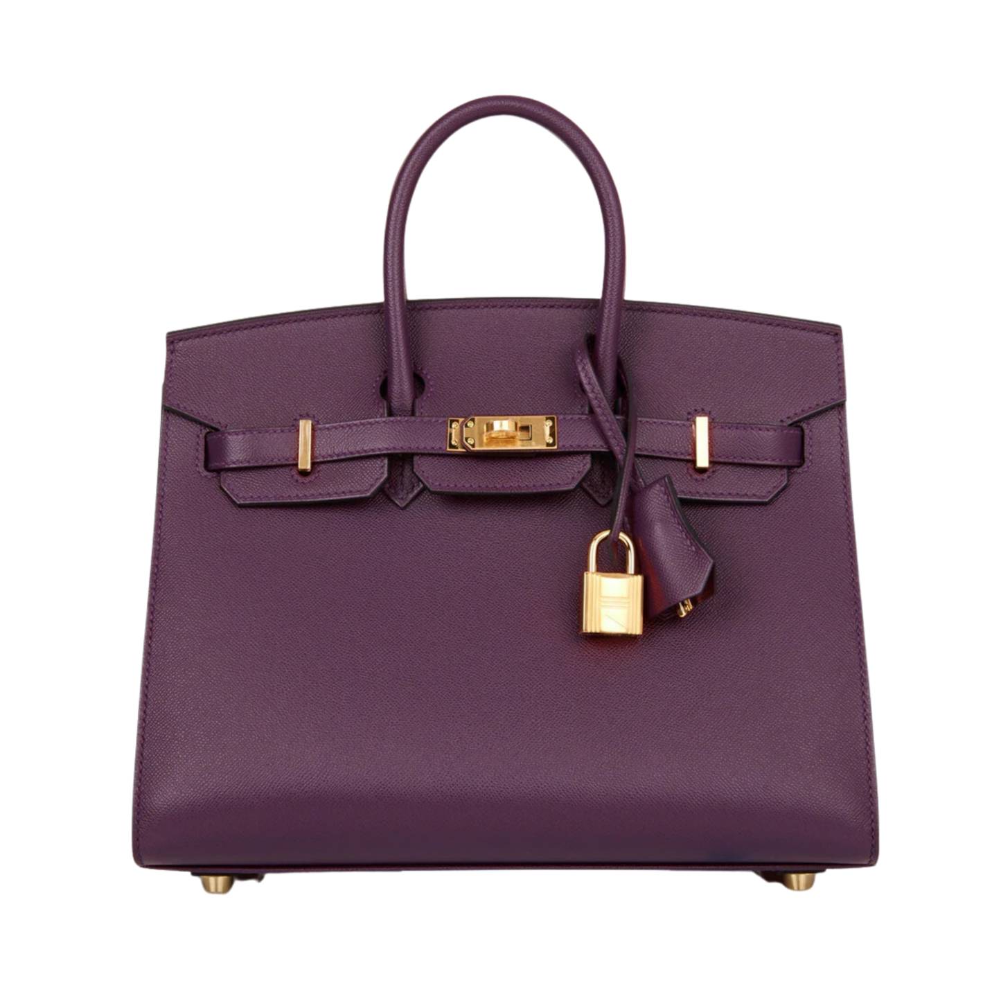 Hermes Birkin 25 Sellier Cassis Madame Leather