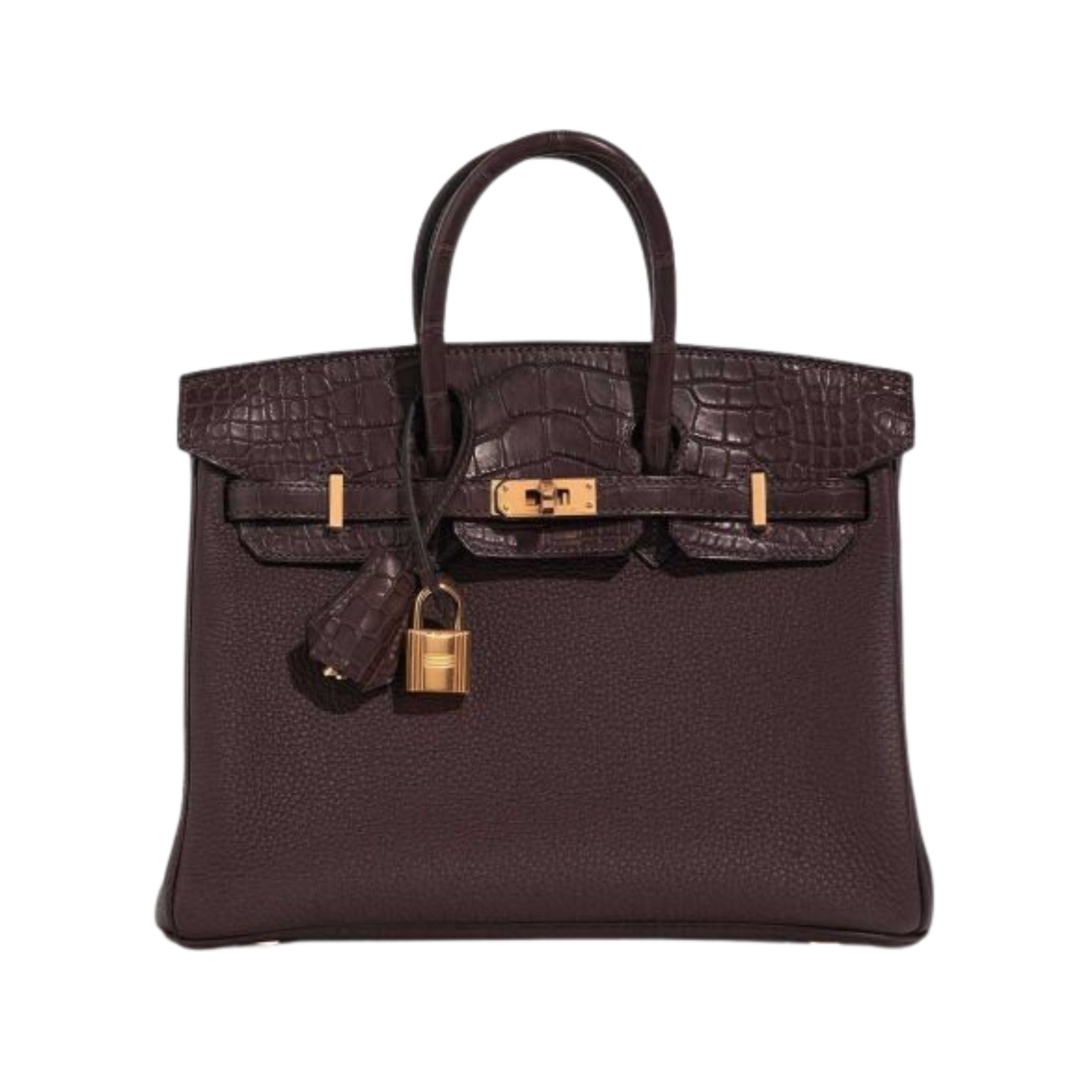 Hermes Birkin 25 Touch Ebene Matte Alligator & Togo Leather