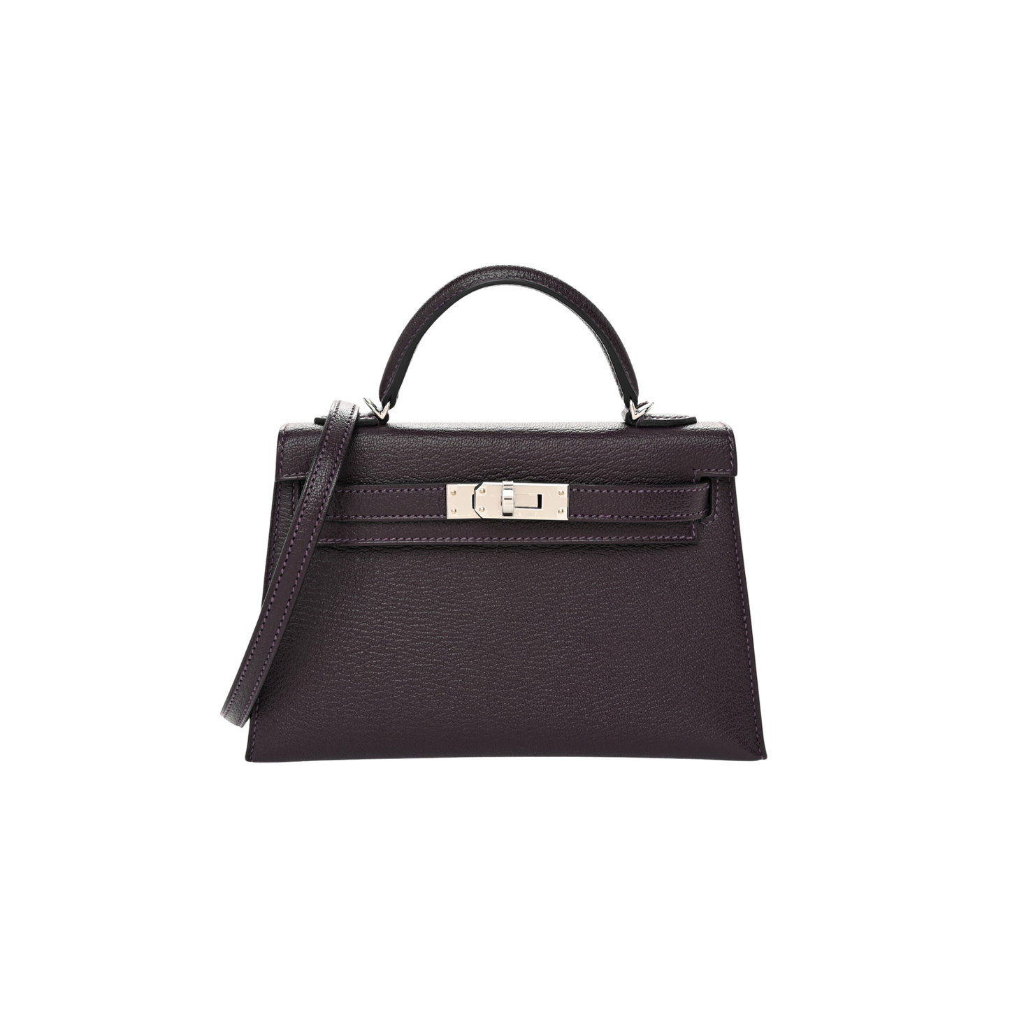 Hermes Kelly 20 Raisin Chevre Mysore Leather