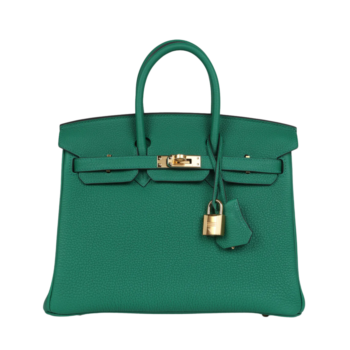 Hermes Birkin 25 Vert Vertigo Togo Leather