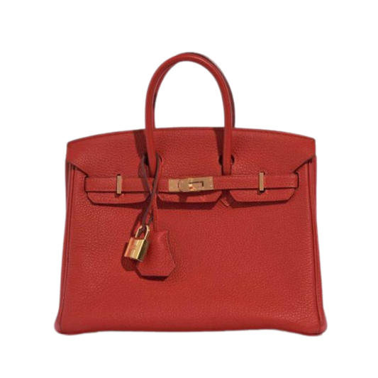 Hermes Birkin 25 Rouge Vermillon Togo Leather