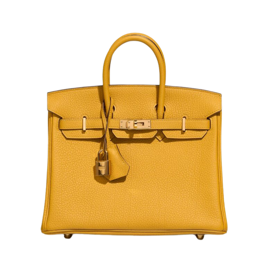 Hermes Birkin 25 Jaune Ambre Togo Leather