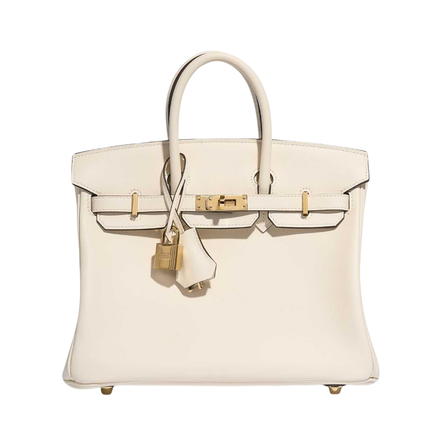 Hermes Birkin 25 Nata Swift Leather
