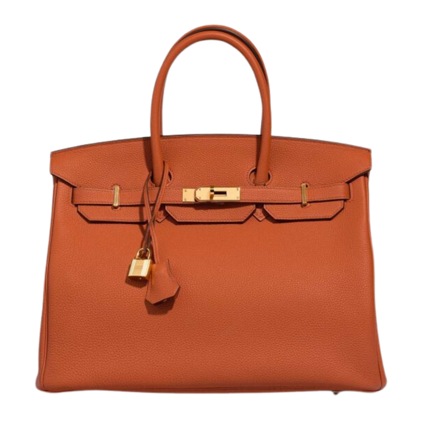 Hermes Birkin 35 Terre Battue Togo Leather