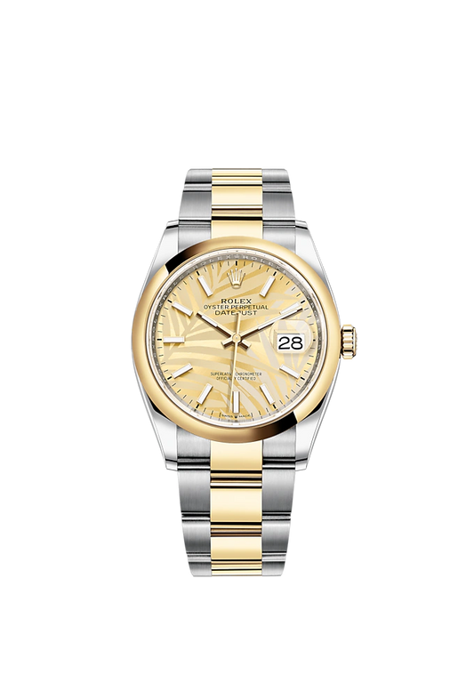 Datejust 36 36mm Oyster Bracelet Oystersteel and Yellow Gold with Golden Palm-Motif Dial Domed Bezel